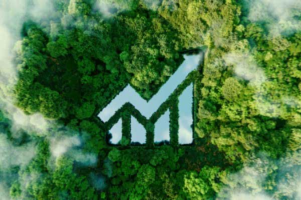 NCE平台:贵金属高波动运行